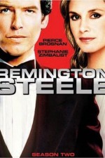 Watch Remington Steele Niter